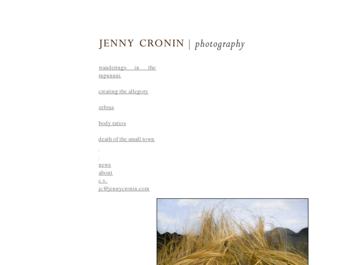 www.jennycronin.com