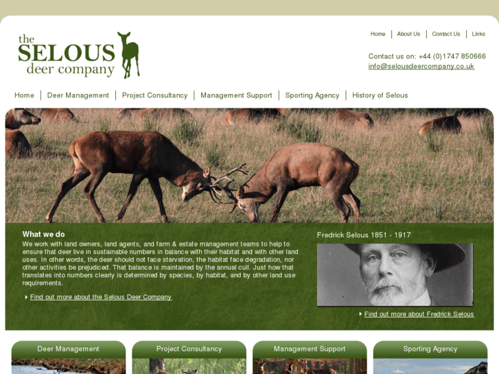 www.selousdeercompany.com