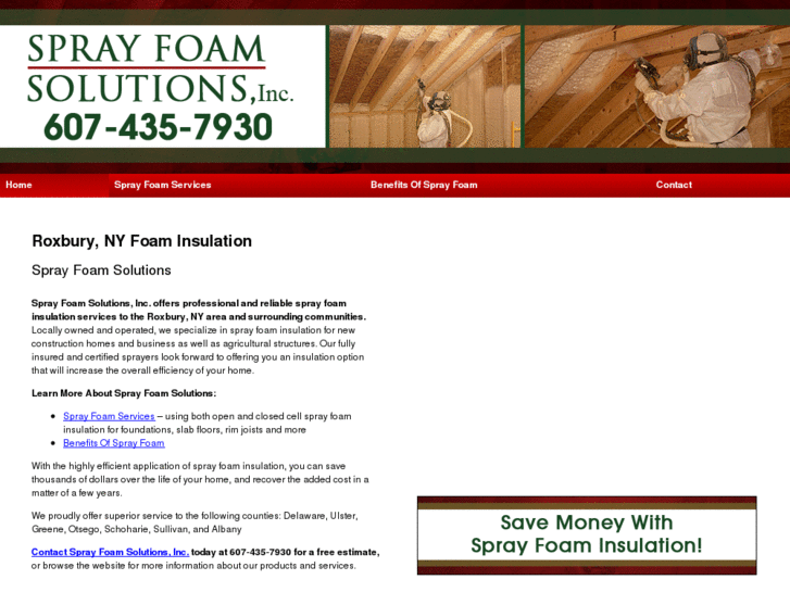 www.sprayfoamsolutionsny.com