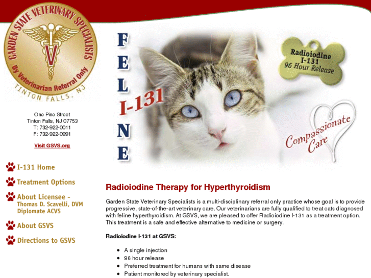 www.felinehyperthyroidism.com