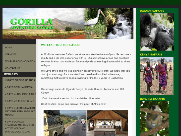 www.gorillaadventuresafaris.com