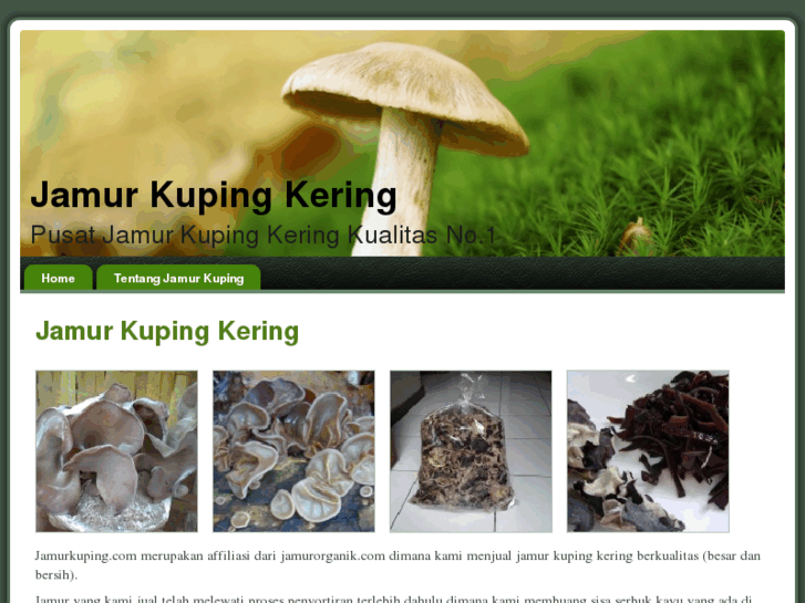 www.jamurkuping.com