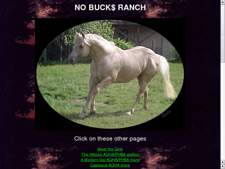 www.nobucksranch.com