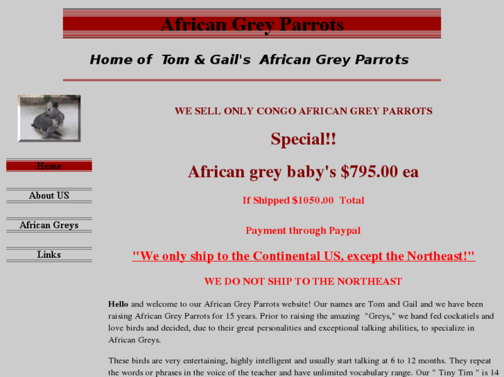 www.africangreybreeders.com