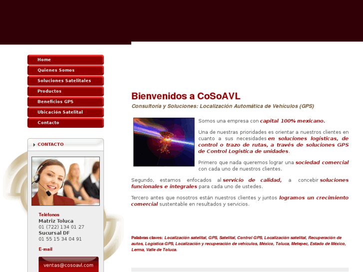 www.cosoavl.com