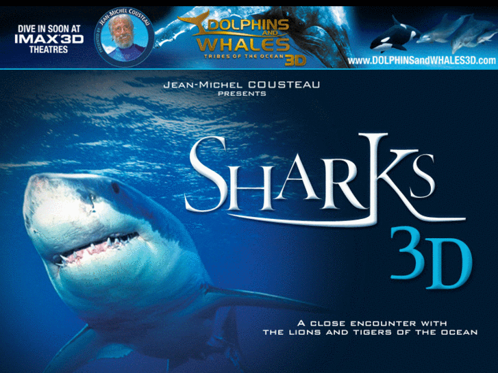 www.requins3d.com