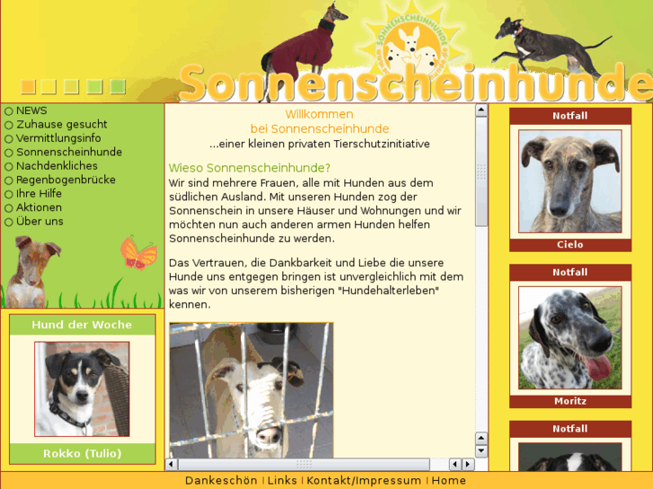 www.sonnenscheinhunde.de