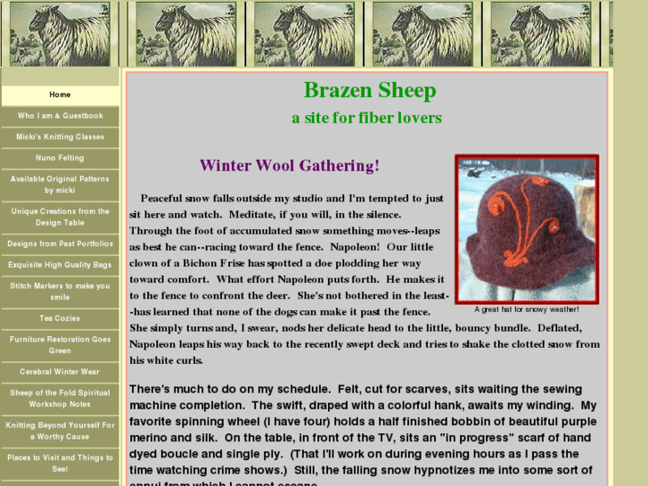 www.brazensheep.com