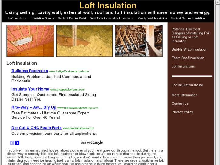 www.loftinsulationinfo.com