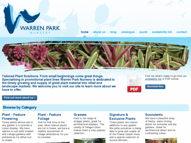 www.warrenparknursery.com