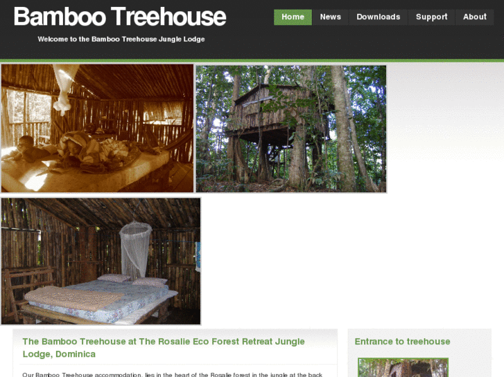 www.bambootreehouse.com