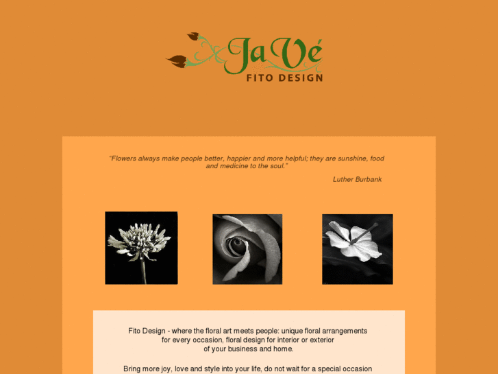 www.javefitodesign.com