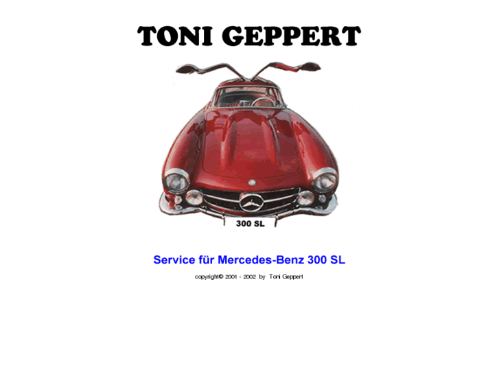 www.toni-geppert.com