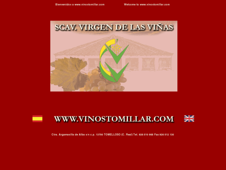 www.vinostomillar.com