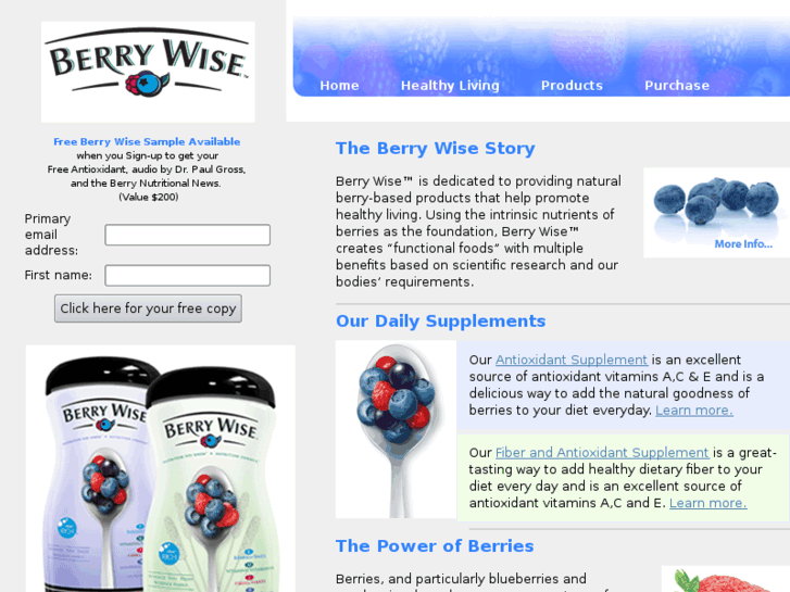 www.berrywiseinc.com
