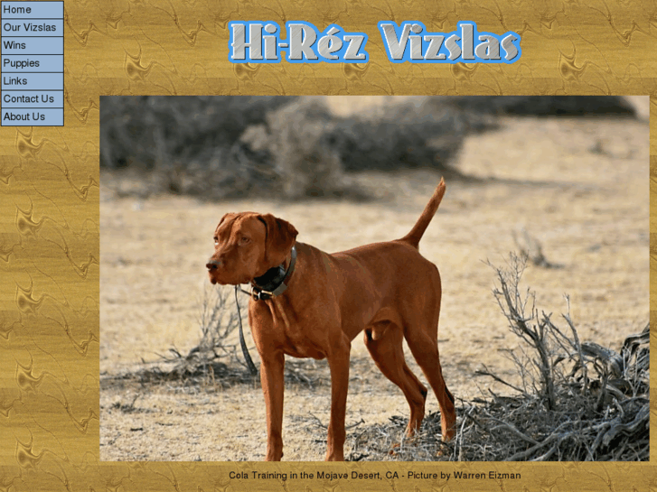 www.hirezvizslas.com