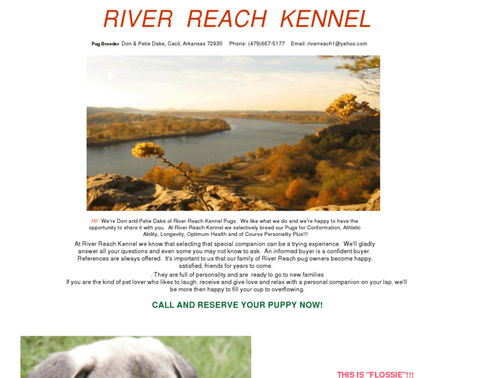 www.riverreachkennel.com