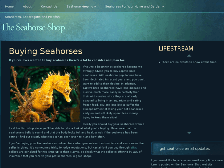 www.seahorses-for-sale.com