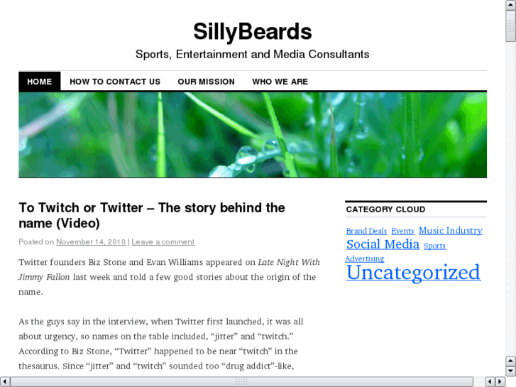 www.sillybeards.com