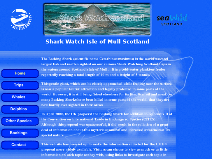 www.whalewatchscotland.com