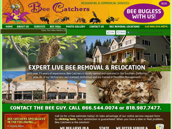 www.beebugless.com