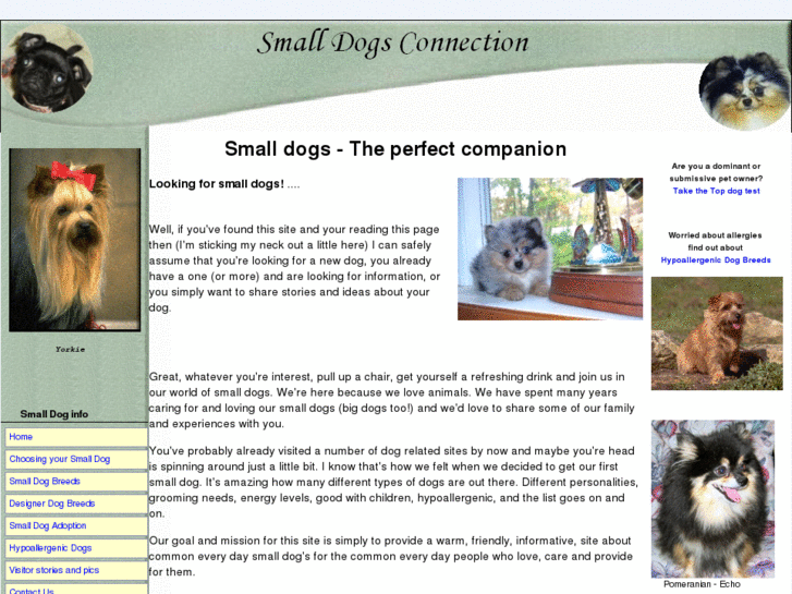 www.small-dogs-connection.com