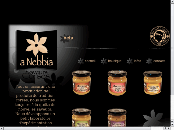 www.anebbia.com