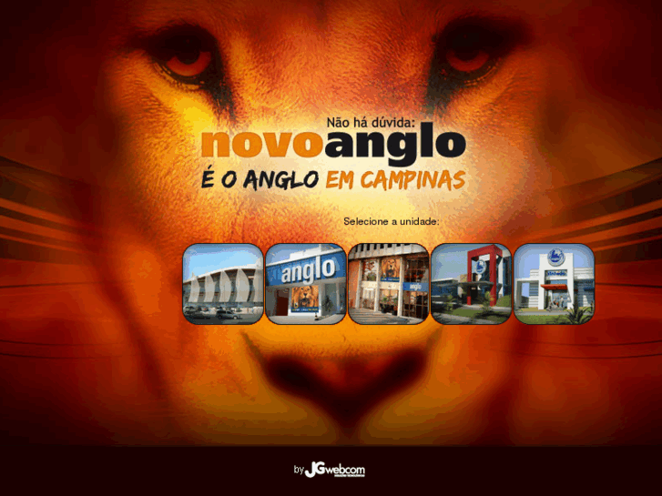 www.anglovinhedo.com