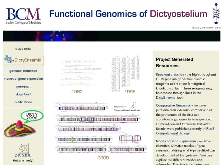 www.dictygenome.org