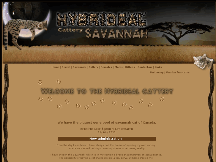 www.hybridealsavannah.com