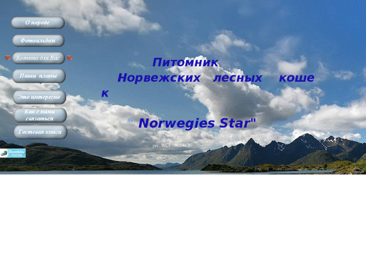 www.norwegi.com