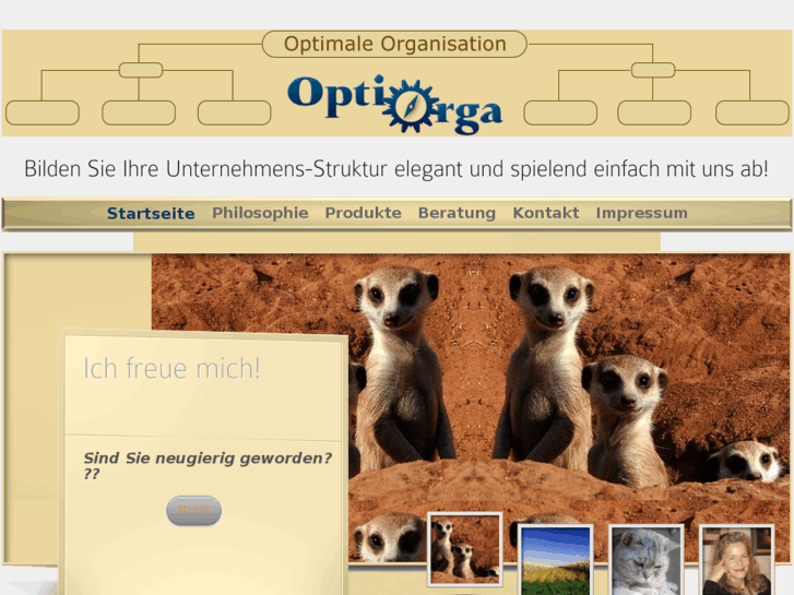 www.optiorga.net