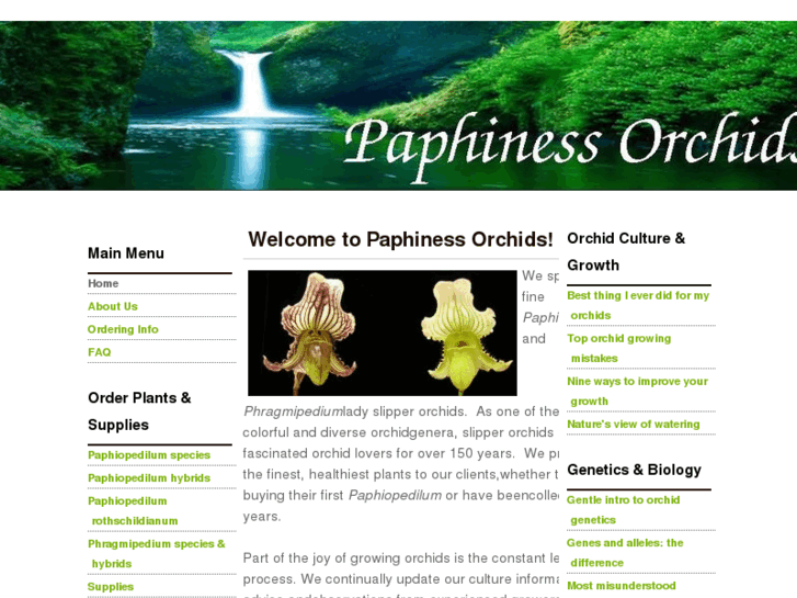 www.paphinessorchids.com