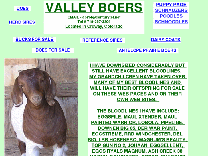 www.valleyboers64.com