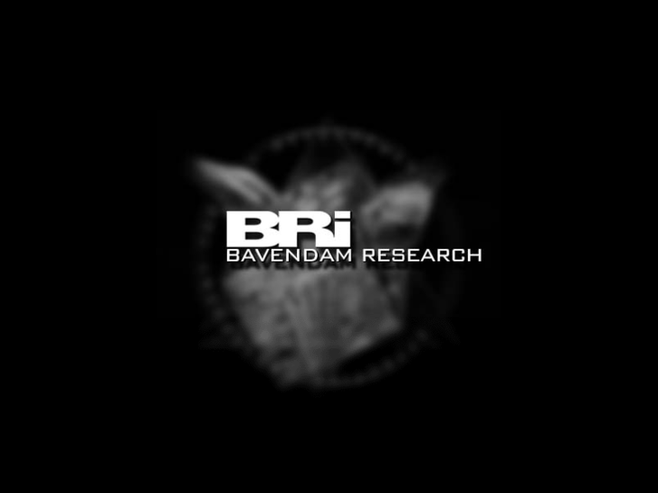 www.bavendamresearch.com