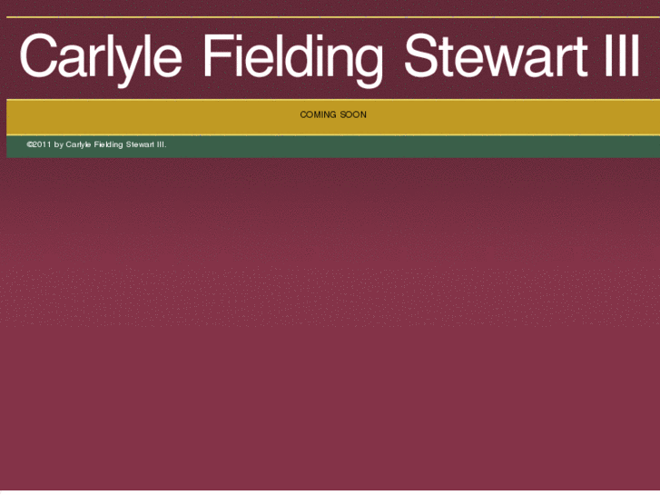 www.carlylestewart.com