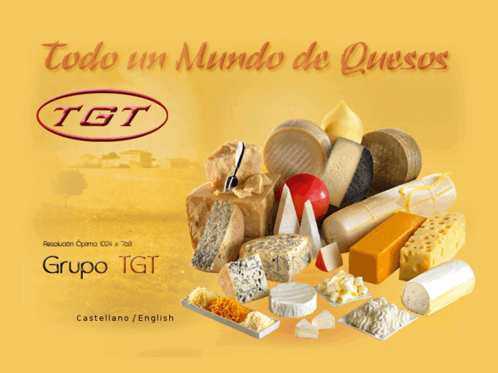 www.grupotgt.es