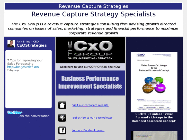 www.revenuecapturestrategy.com