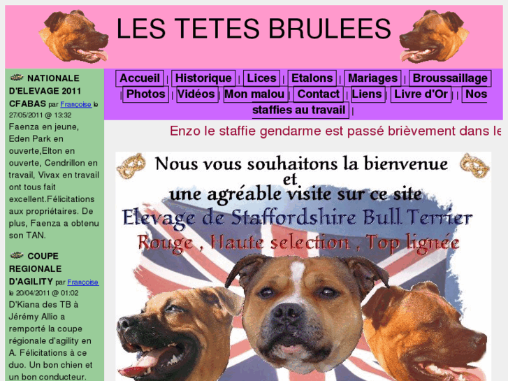 www.tetes-brulees.com