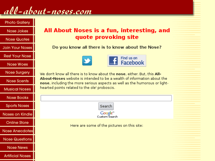 www.all-about-noses.com