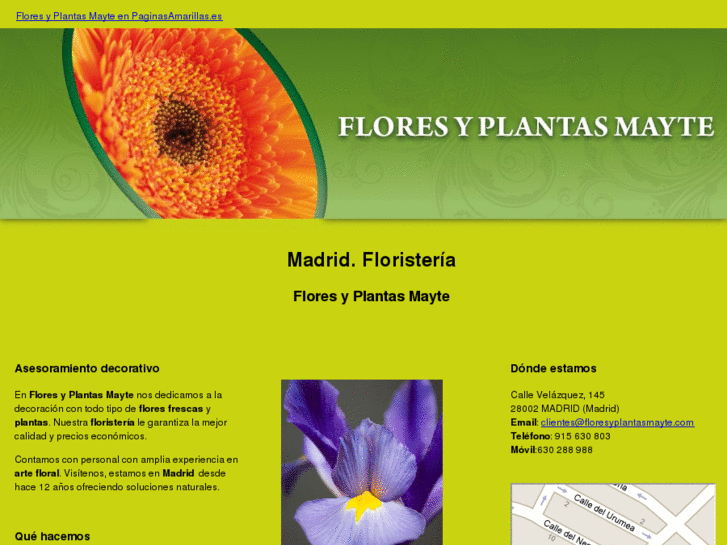 www.floresyplantasmayte.com