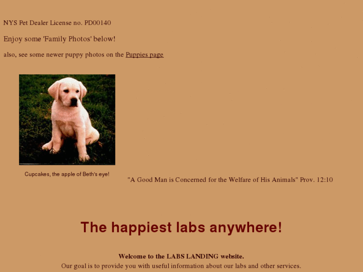 www.labslanding.com