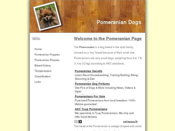 www.pomeranian-dog.com