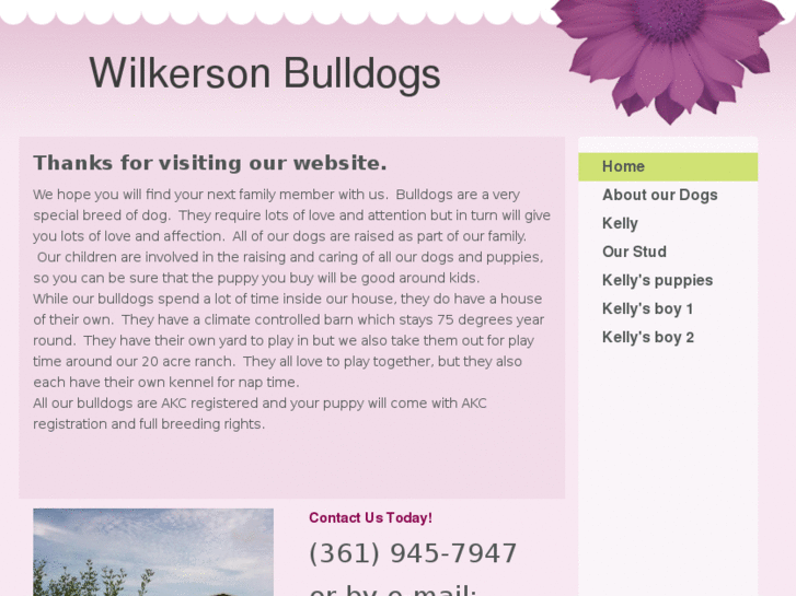 www.wilkersonbulldogs.com