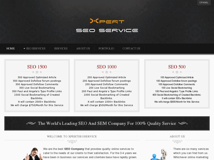 www.xpertseoservice.com