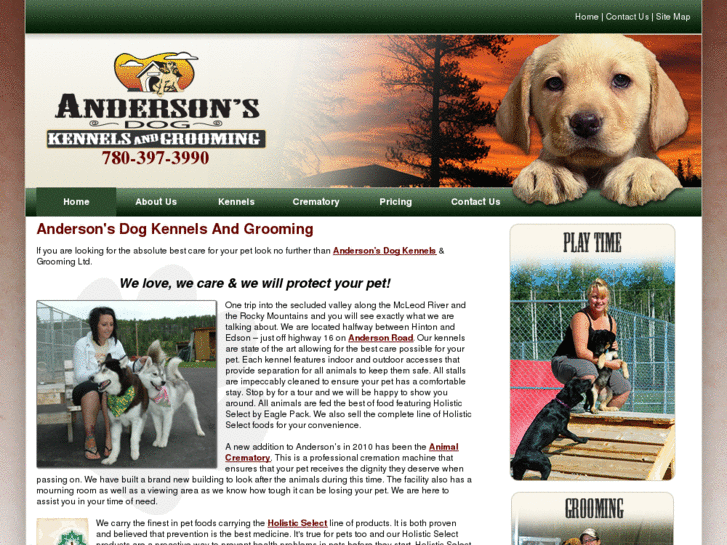 www.andersonsdogs.com