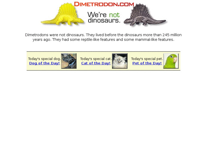 www.dimetrodon.com