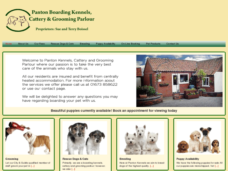 www.pantonkennels.com