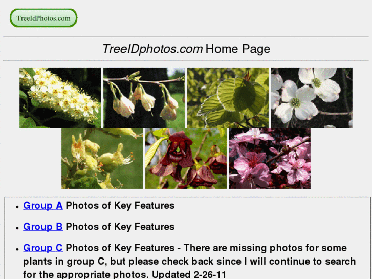 www.treeidphotos.com