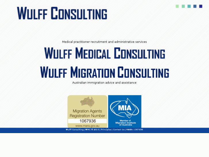 www.wulffmedicalconsulting.com